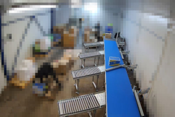 Sorting goods in logistics